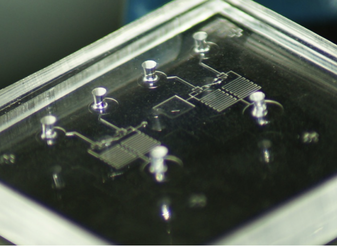 Microfluidic Oscillator